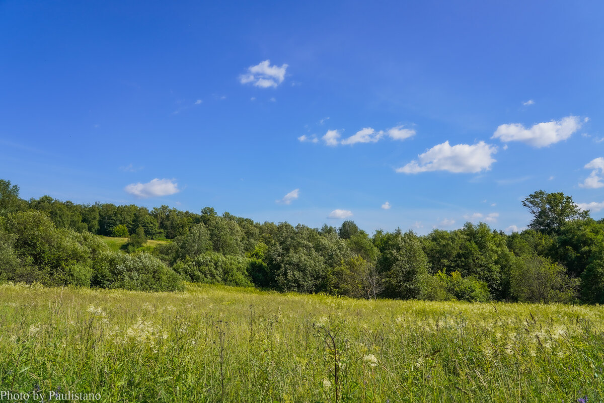 Палитра июля... - Владимир Жданов