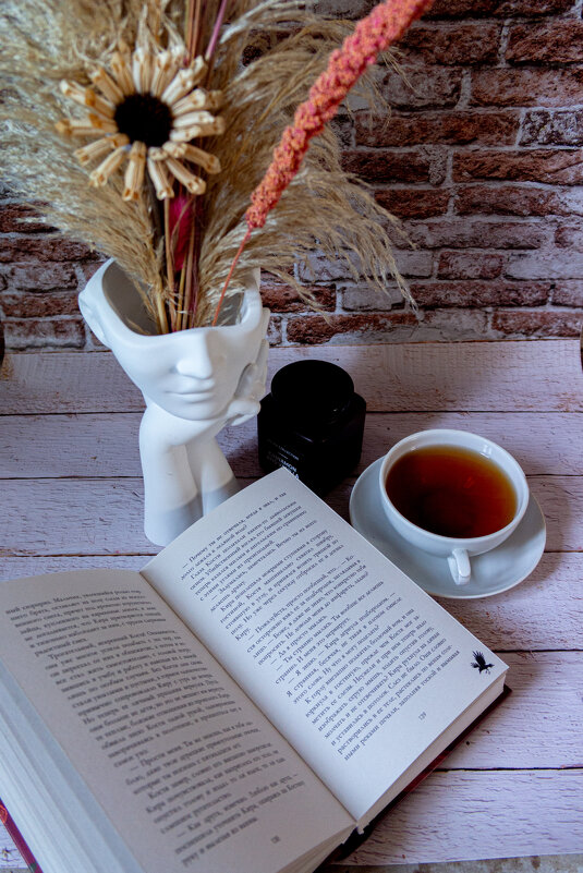 Чтение книг - Светлана Мишенёва