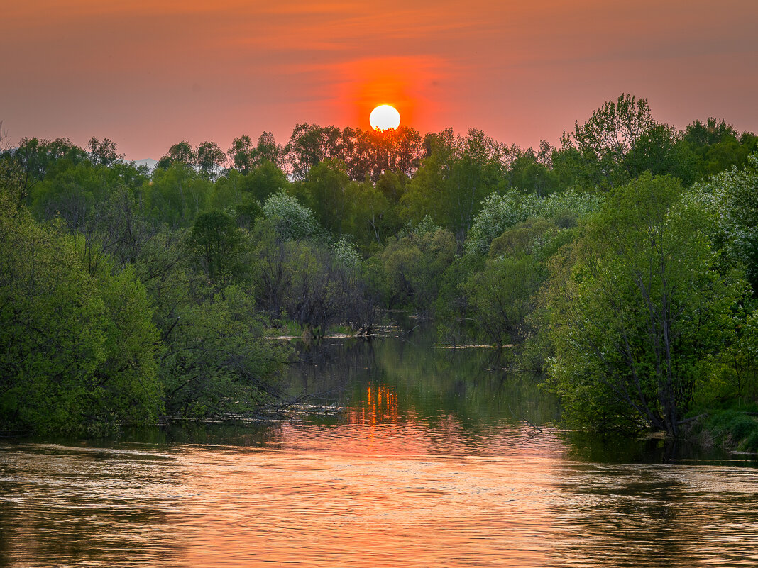 ... - Жора Житников ... - Жора Житников