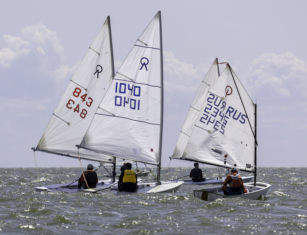 Регата - Андрей Lyz