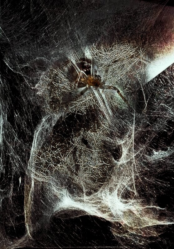 "Кто нынче муха?". - Журавлев Владимир 