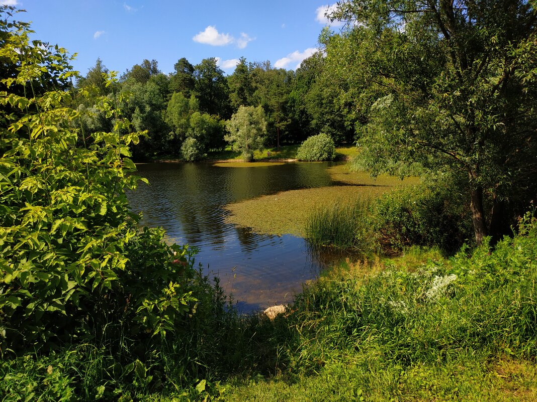 100-я велофотосессия в сезоне! (Более 1300 км) - Андрей Лукьянов 100-я велофотосессия в сезоне! (Более 1300 км) - Андрей Лукьянов