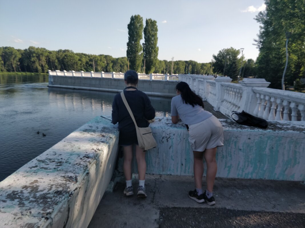 Кормление уток на Иртыше - Андрей Хлопонин