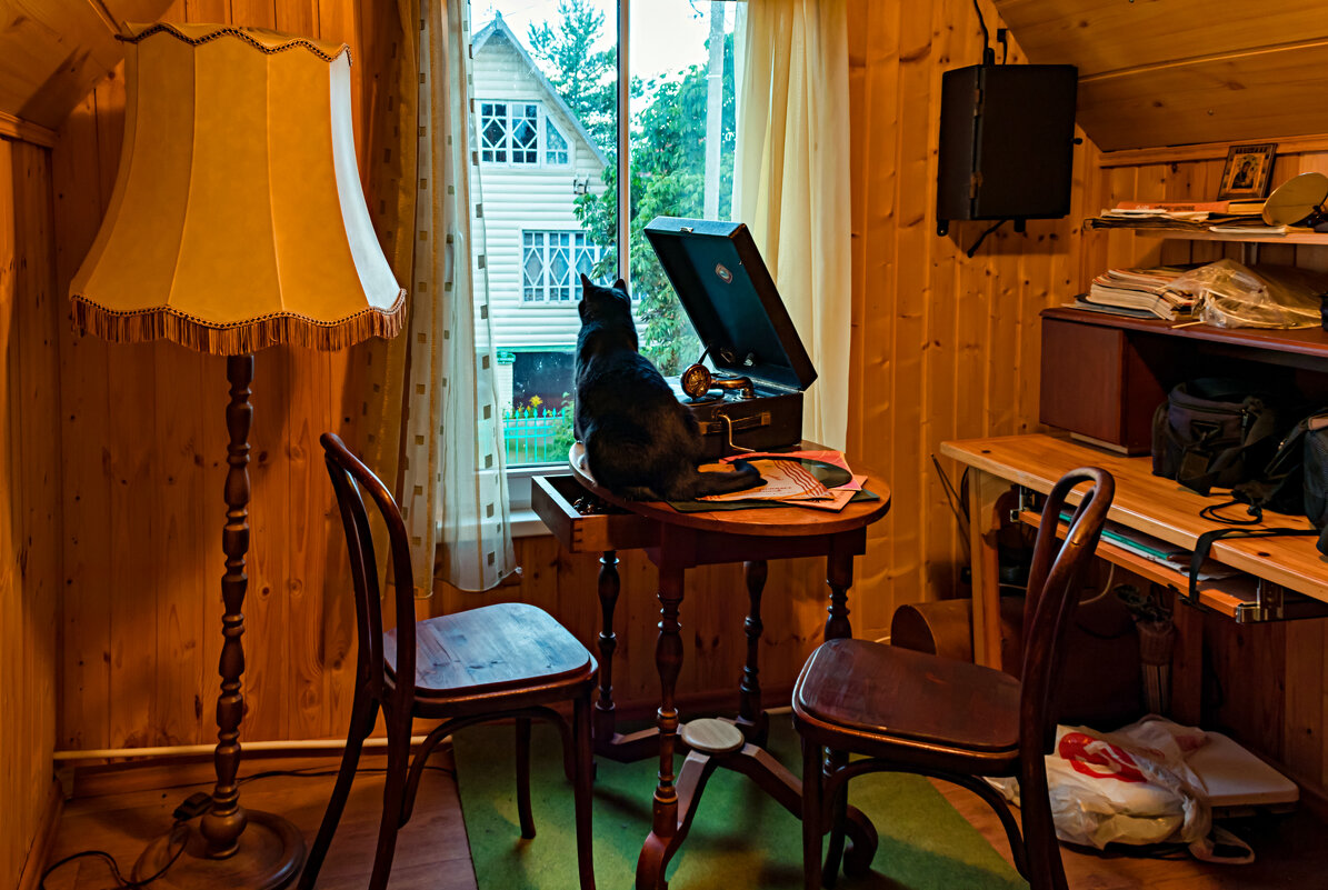 Вечер на даче. - Игорь Викторов