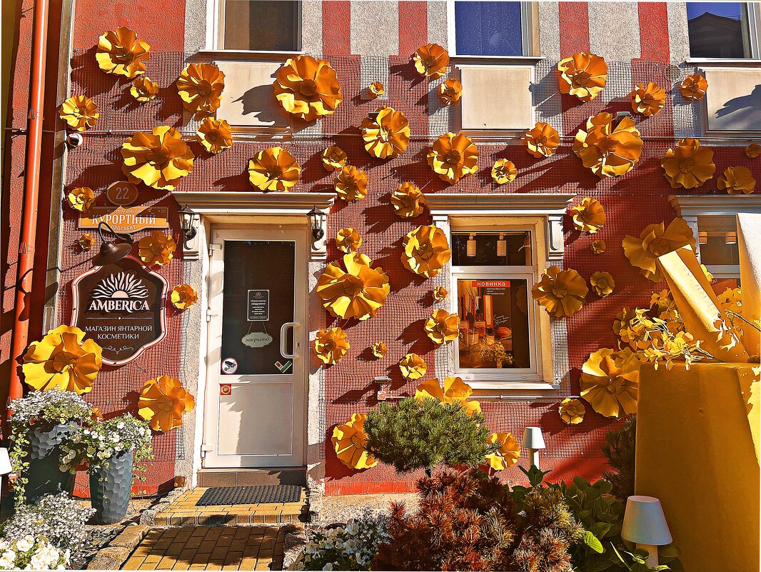 Магазин янтарной косметики. - Валерия Комова Магазин янтарной косметики. - Валерия Комова