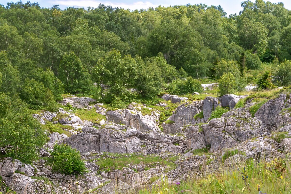 Лаго-Наки - Игорь Сикорский