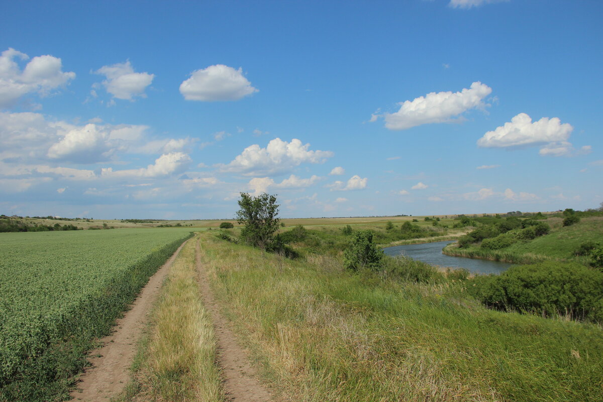 Мои дороги. - Виктор 