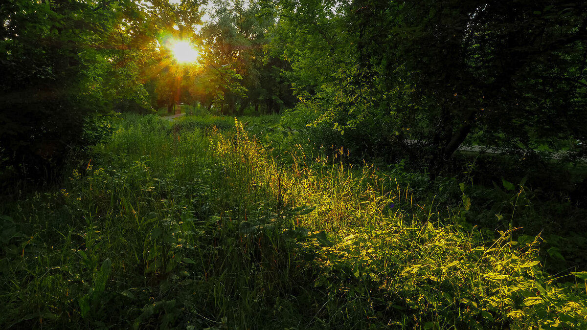 ***** - юрий поляков
