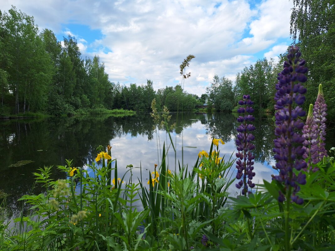 Летний пейзаж - Наталья 