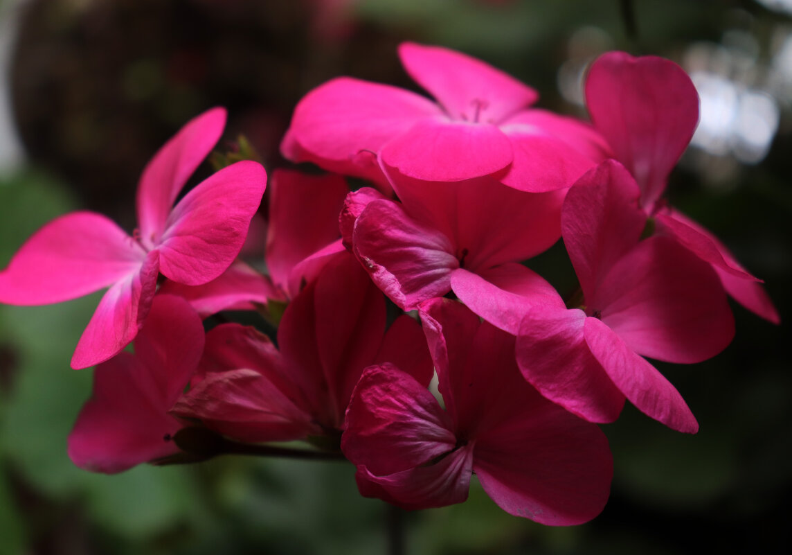 А за окном непогода... - Наталья Лунева 