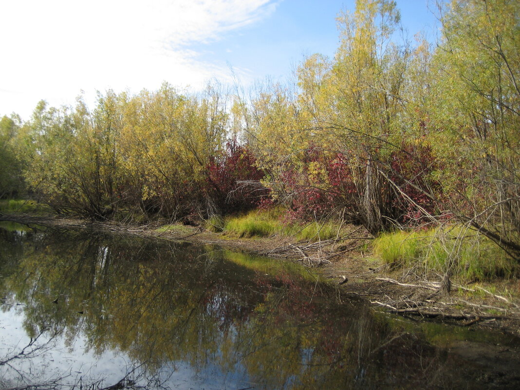 Осень - Anna Ivanova