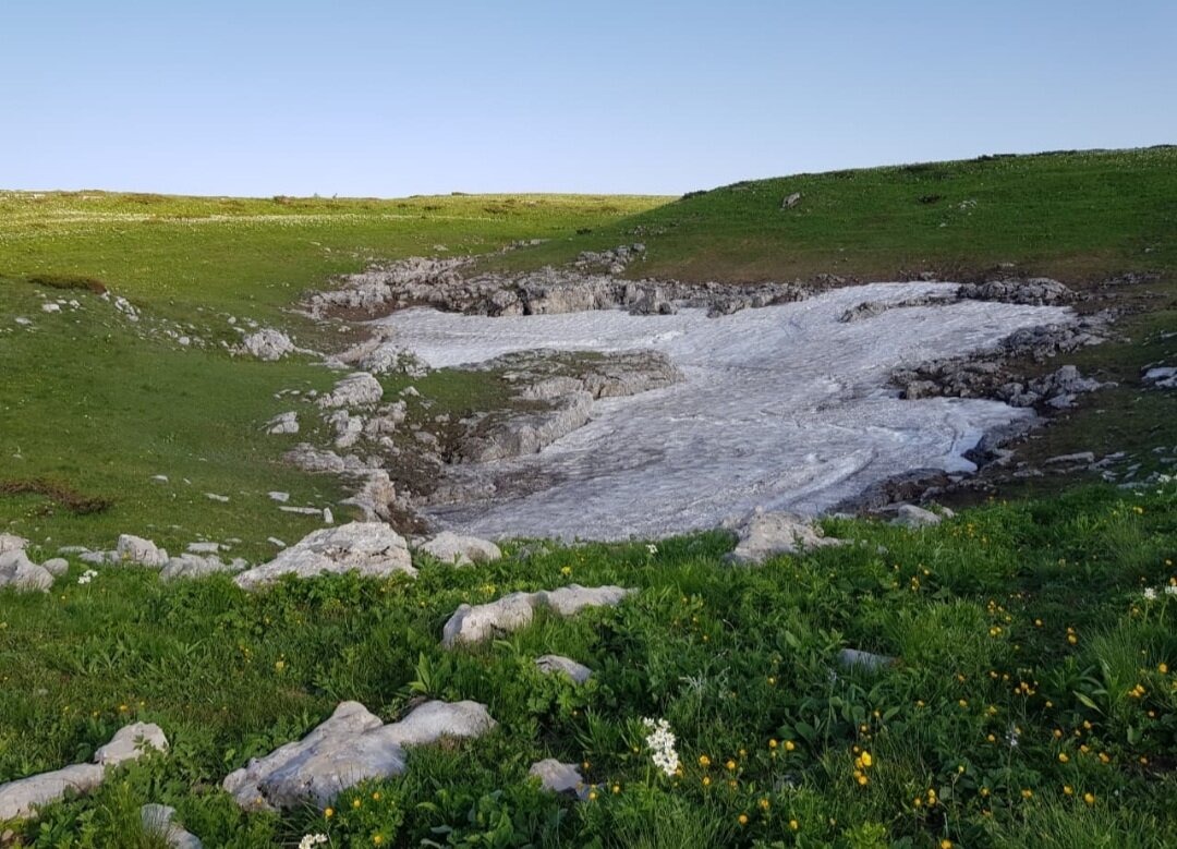 ПЛАТО ЛАГОНАКИ - Tata Wolf