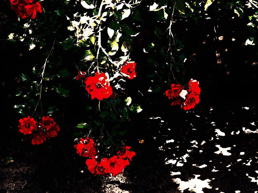 Летние этюды 53 - Алексей Кузнецов