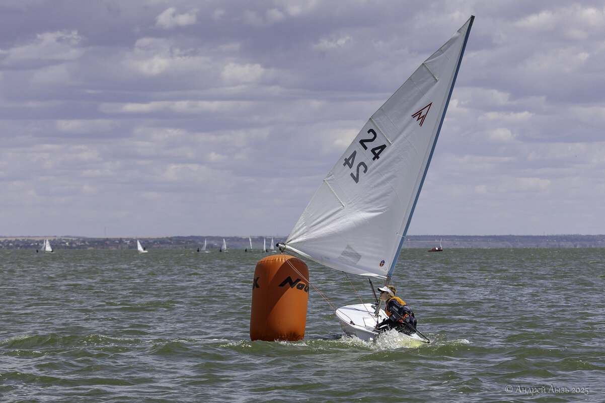Регата - Андрей Lyz