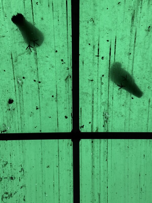 Горптиц.нск - Екатерина Маринина