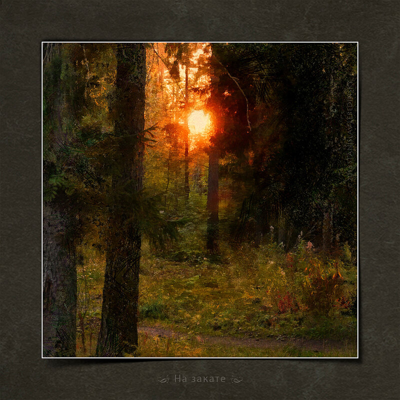 «На закате» Panasonic Lumix DMC-G5_14-140mm - Станислав Лебединский «На закате» Panasonic Lumix DMC-G5_14-140mm - Станислав Лебединский