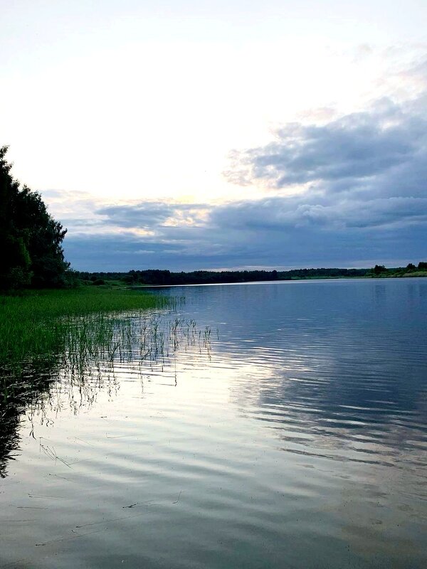 Летний вечер. - Ольга Довженко