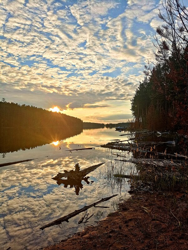 Вечером на реке... - Ирина *