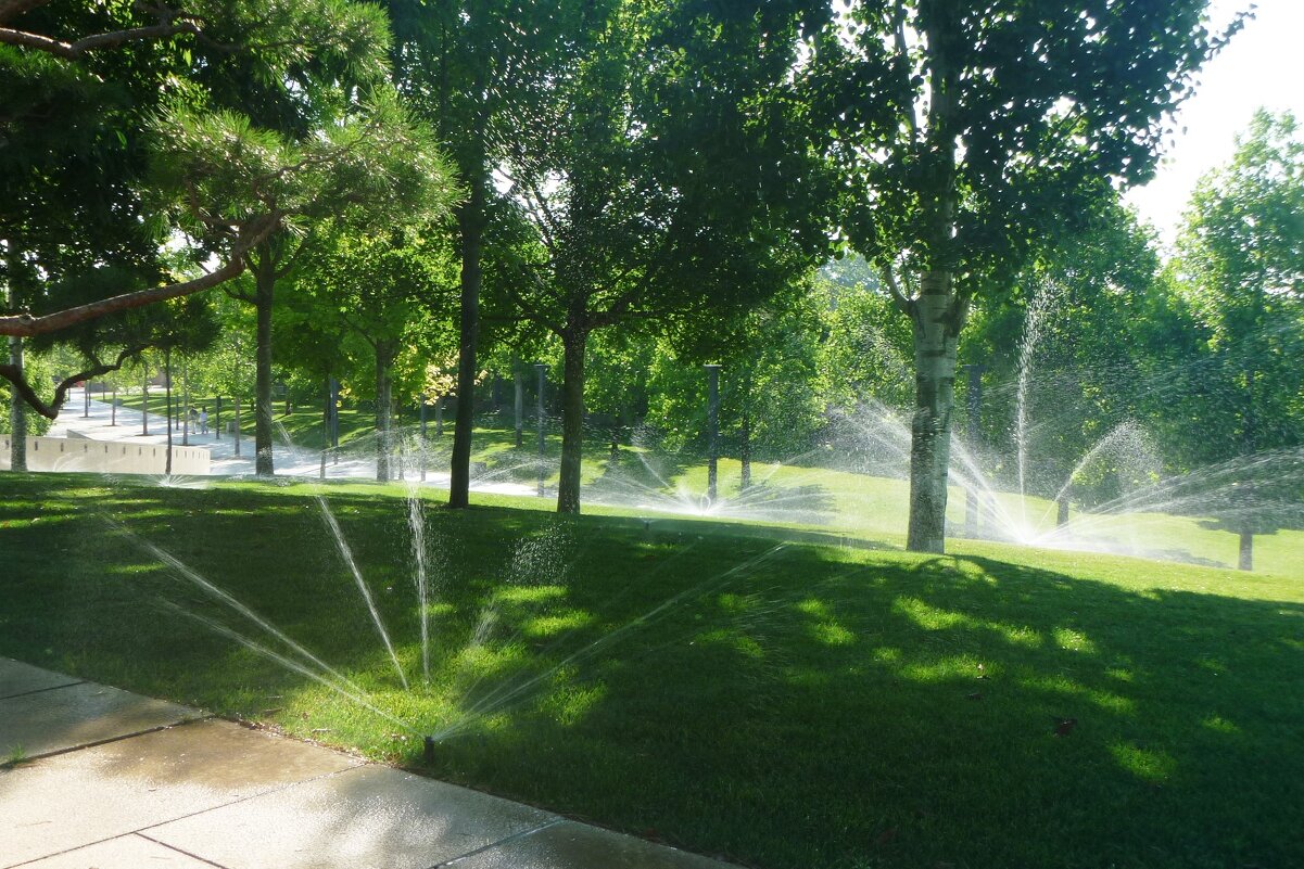 Водные процедуры - Владимир Жуков