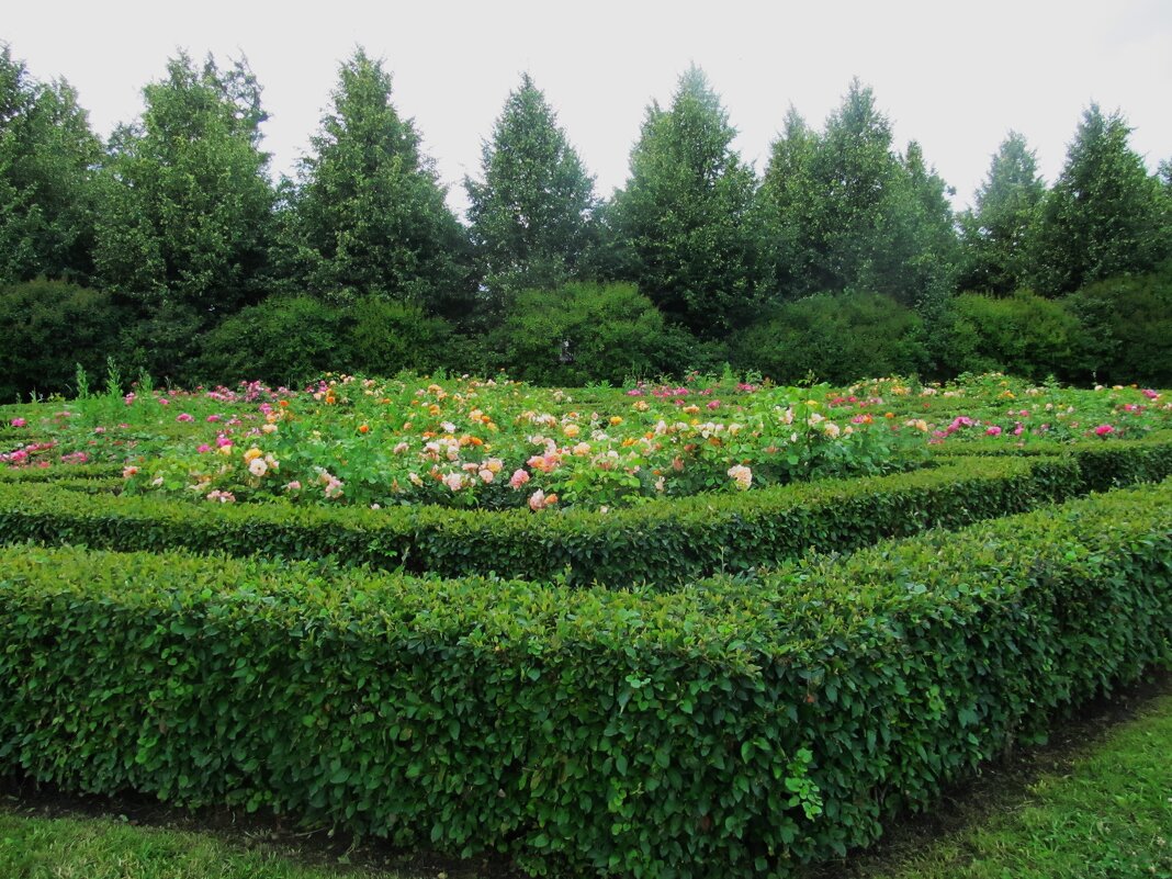 парк принцессы Ольденбургской Рамонь - Елена Шаламова парк принцессы Ольденбургской Рамонь - Елена Шаламова
