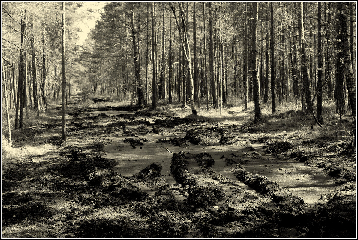 Болото - Aleksandr Gal