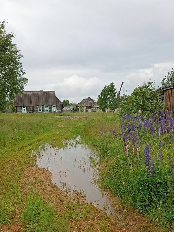 Заброшенная деревенька - Pippa 