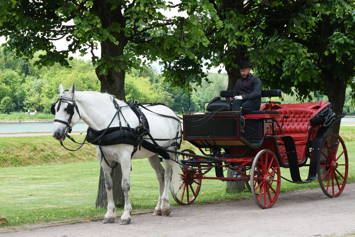 Москва. Усадьба Кусково. - Наташа *****