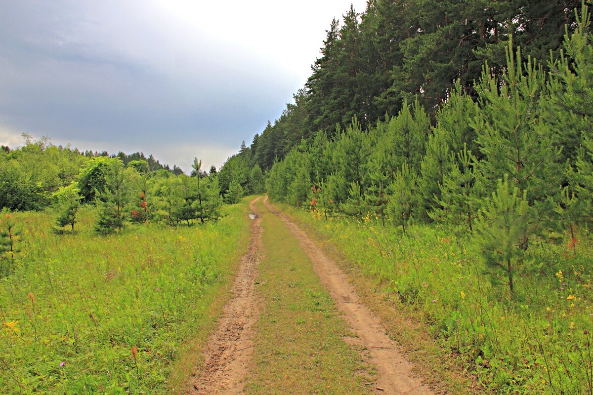 Путь-дорожка... - Евгений Корьевщиков