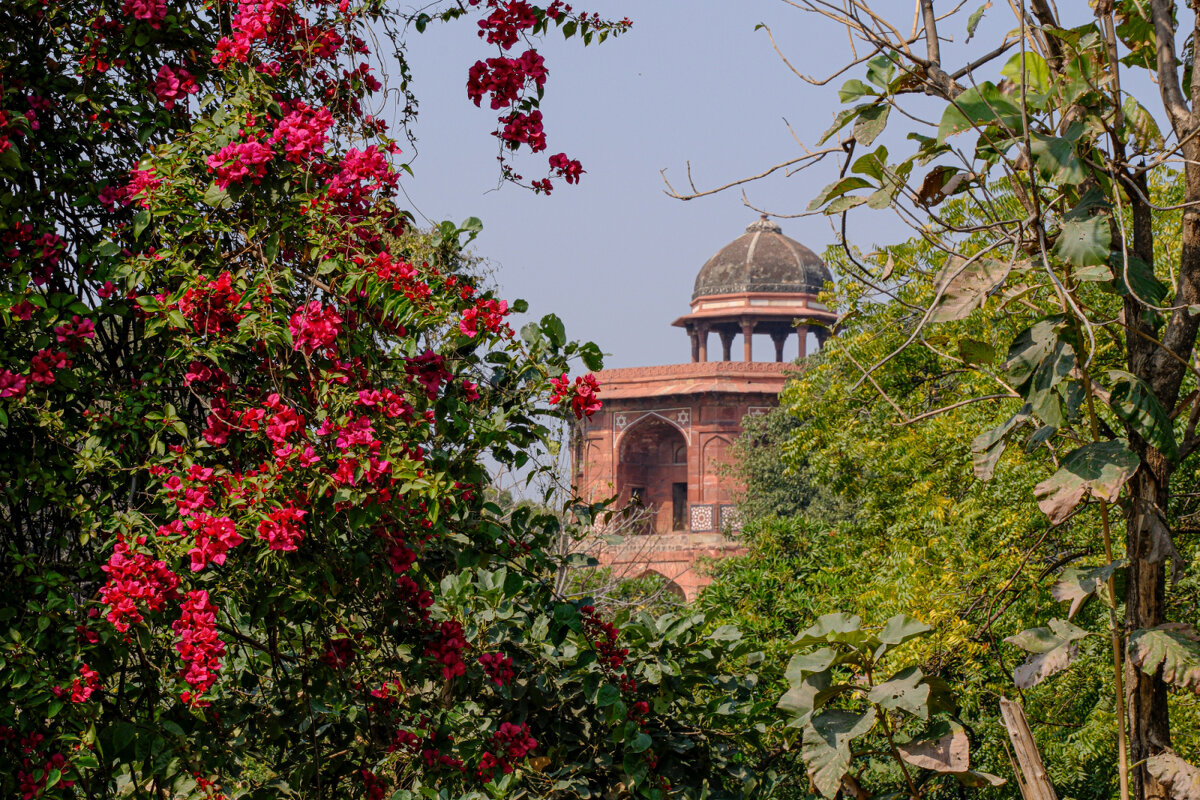 Старый форт г. Дели (2) - Георгий А