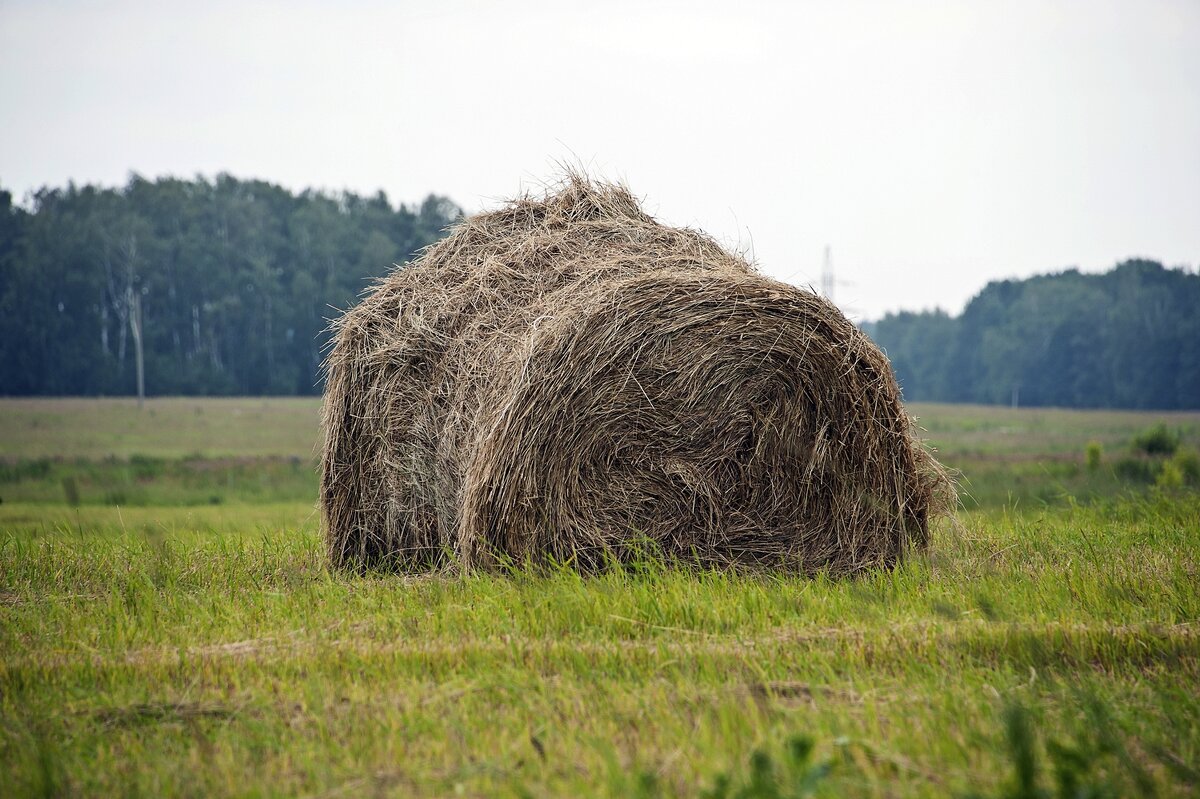 Накрутили - Валерий Иванович