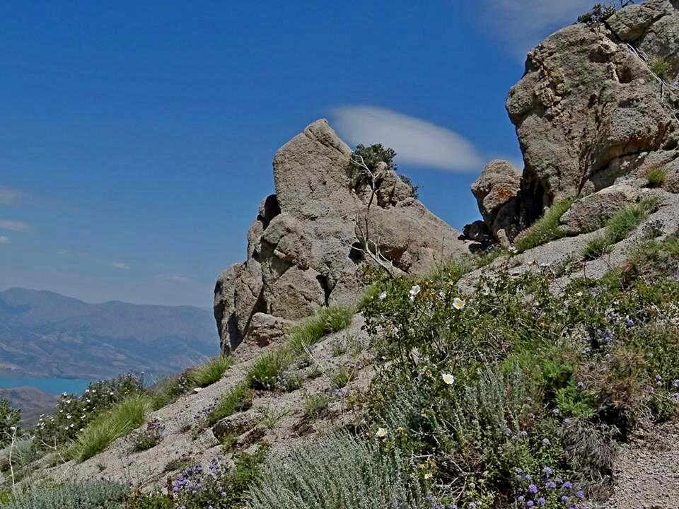 ПО ГОРАМ. - Виктор Осипчук