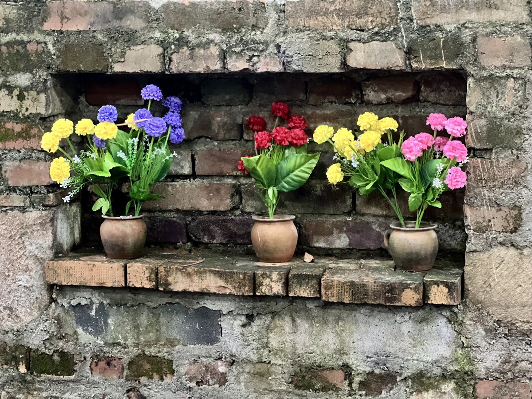 Грузинские мотивы - Роман —-