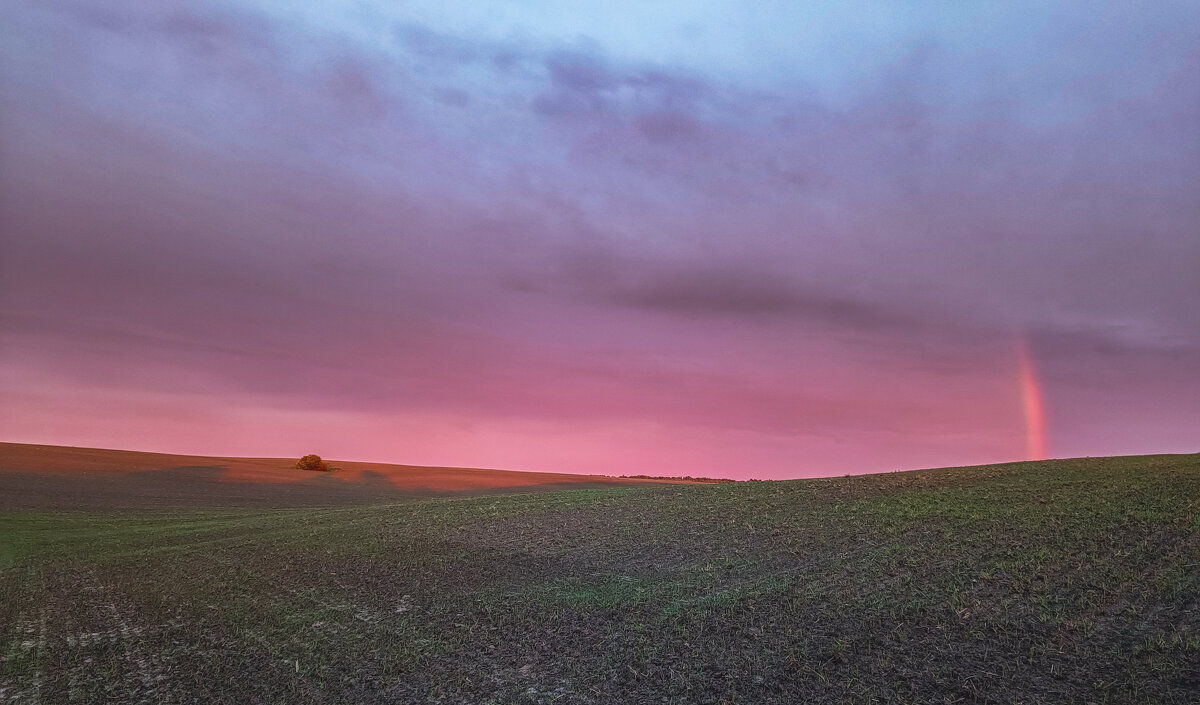 Вечером в поле - Sergei Vikulov Вечером в поле - Sergei Vikulov