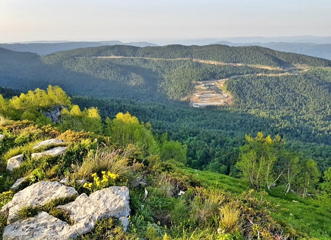 ПЛАТО ЛАГОНАКИ - Tata Wolf