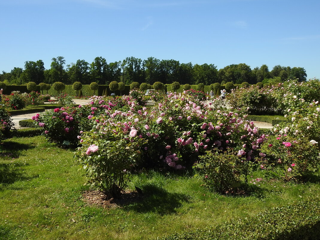 французский парк в Рундале - ИННА ПОРОХОВА