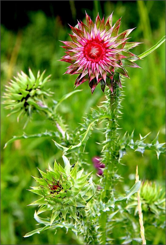 ... - Юрий Ковшов ... - Юрий Ковшов