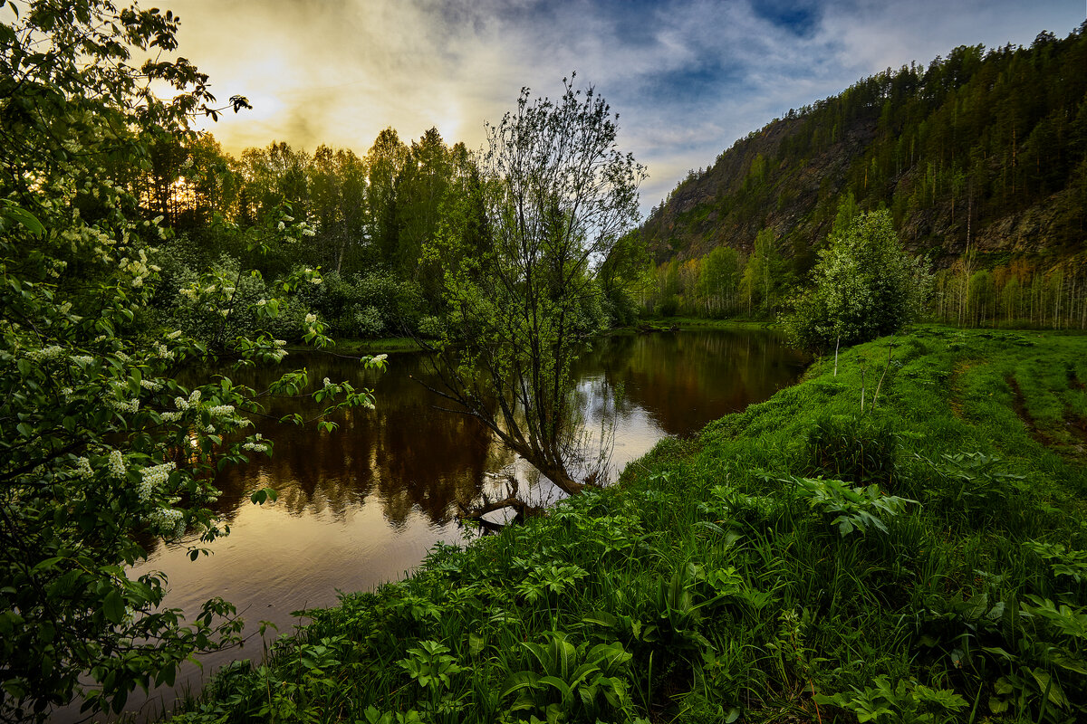 Черёмуховый вечер мая 2. - Юрий кот Черёмуховый вечер мая 2. - Юрий кот