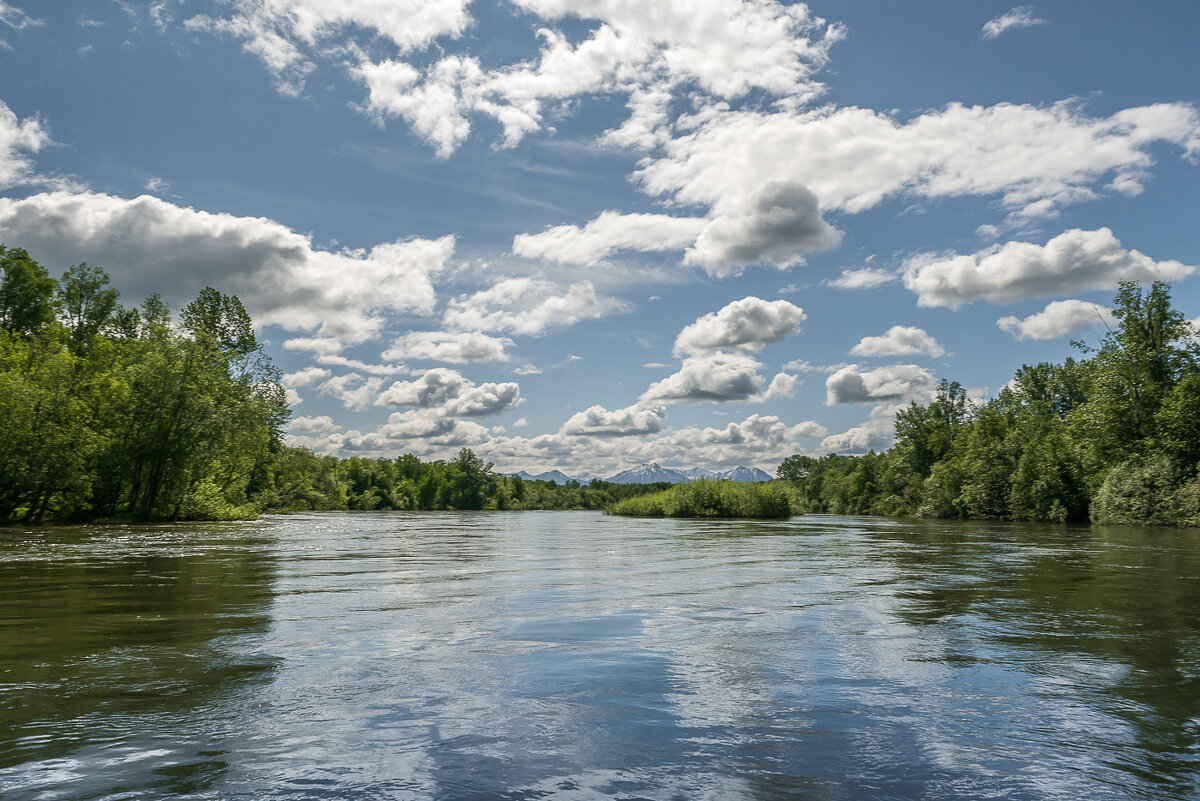 ... - Жора Житников ... - Жора Житников