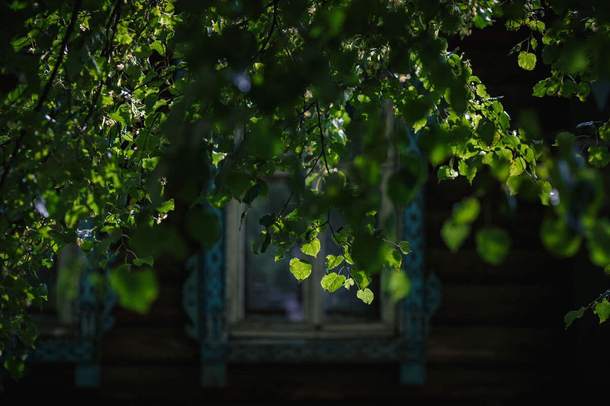 Плёс. Маленький городок на Волге - Вячеслав Владимирович