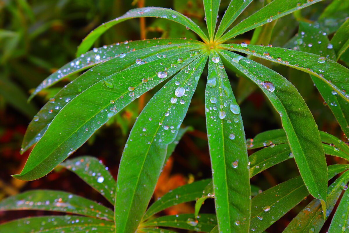 ... - Владимир иванов