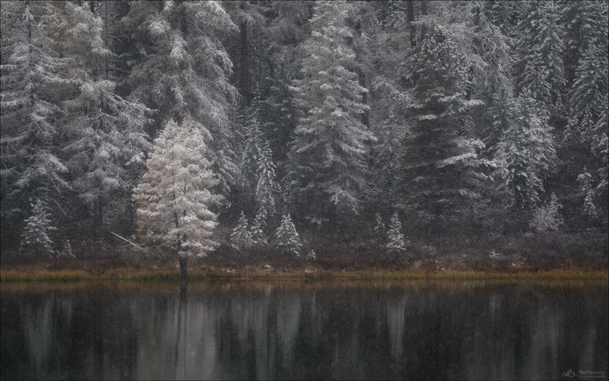 Тонкая грань - Влад Соколовский