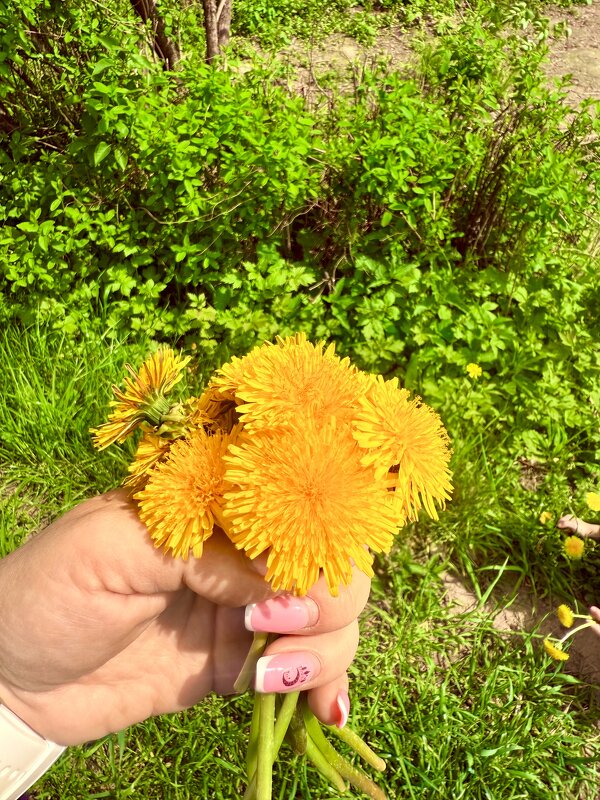 Букетик одуванчиков от любимого сыночка - Iren Brilliance Букетик одуванчиков от любимого сыночка - Iren Brilliance