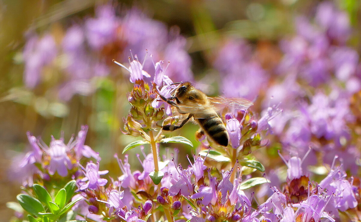 Из снятого сегодня 3 - Александр Прокудин