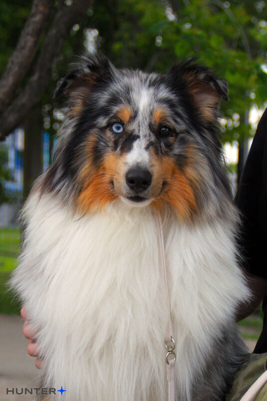 Каспер - Полина Лопатина (Hunter)