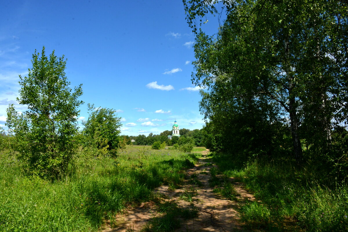 Летний пейзаж - Леонид Иванчук
