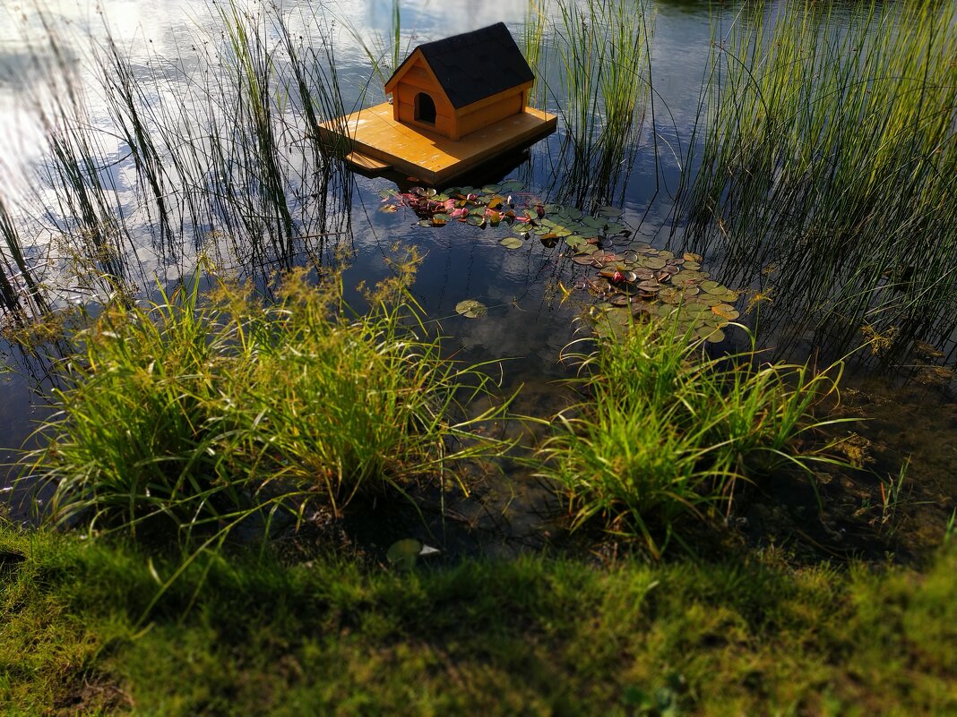 То, что рядом с нами - Андрей Лукьянов То, что рядом с нами - Андрей Лукьянов