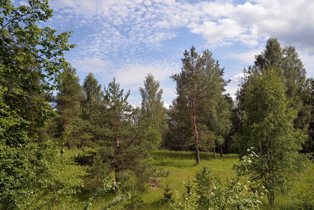 Мимоходом..... - Игорь Корф