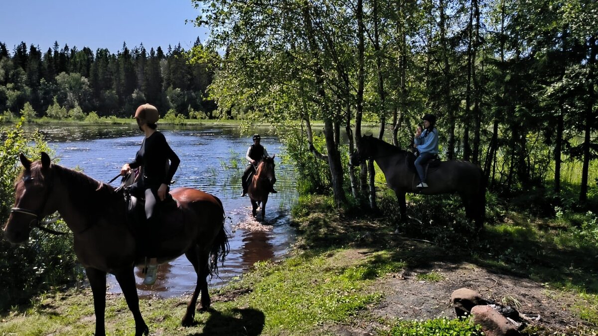 Пора освежиться! - Ольга 