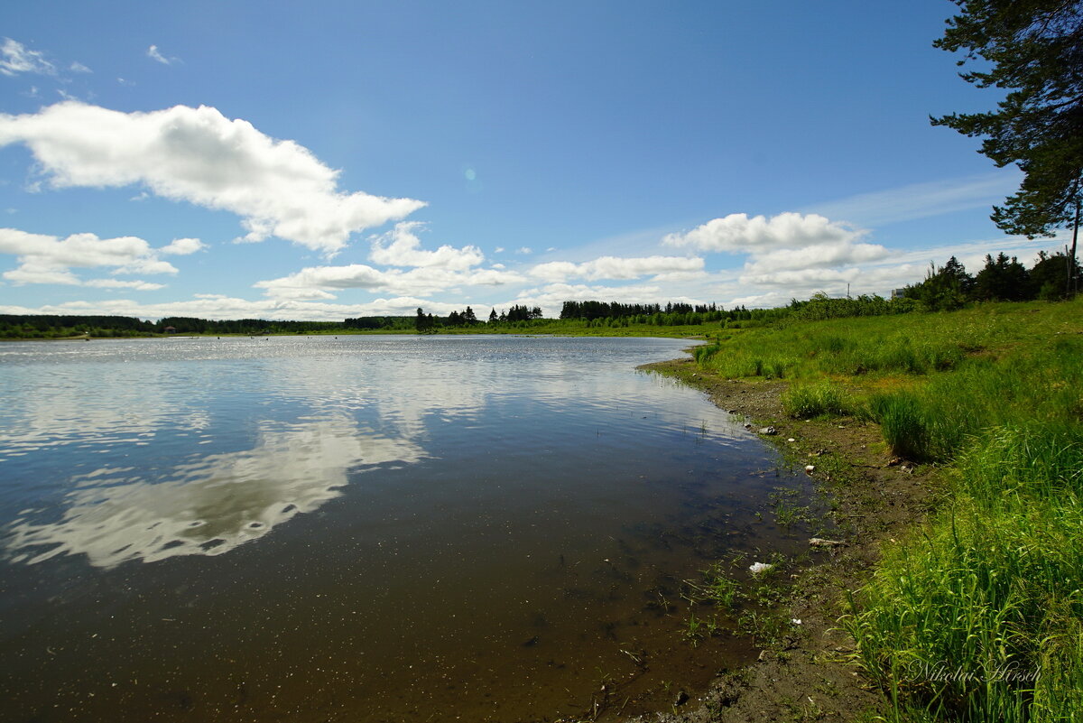 *** - Николай Гирш