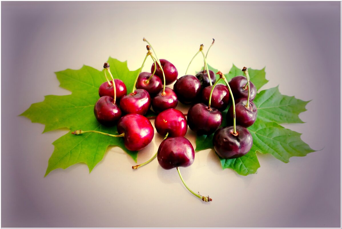 ВИШНЯ... - Elvira E. 